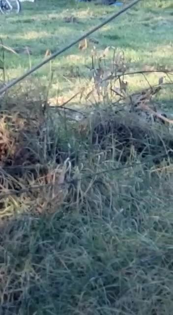 En recuperación bebé que se salvó en accidente de avioneta en Cundinamarca