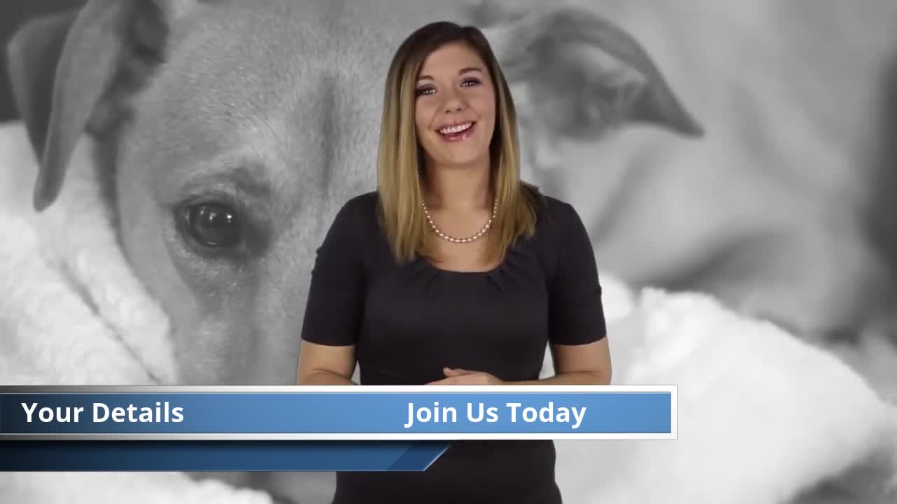 Dog Training - Woman explainer - Niche Marketing Video