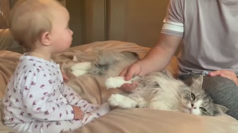 Adorable Baby Always Kisses Her Cat!