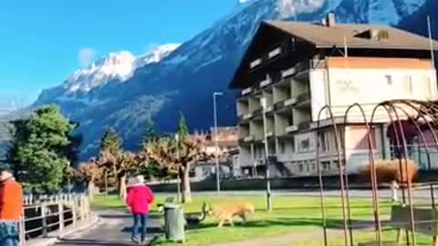 Nature is so beautiful and should be enjoyed