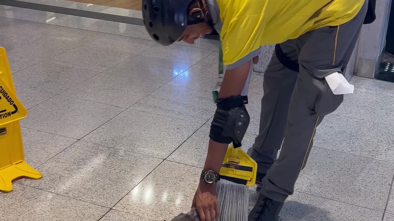 Puppy Plays With Mop at Shopping Mall