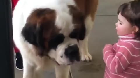 This dog is too big