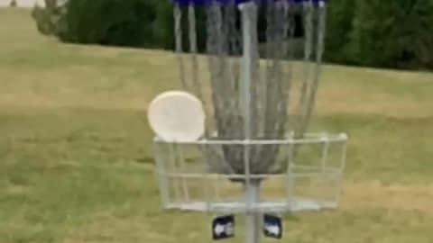 Lucky Disc golf putt