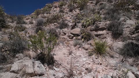 Big Bend NP - Afternoon Hike - SSA - Day 3 - Part 2