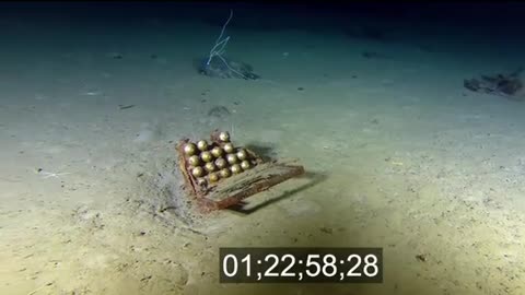 Titanic wreck objects 🤯