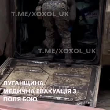 Свежие дохлый свин подъехал. 🔞18+