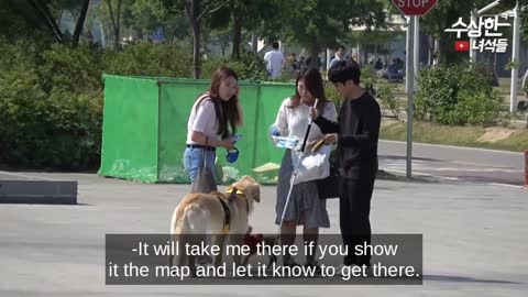 BEST KOREAN PRANK 😂😂😂