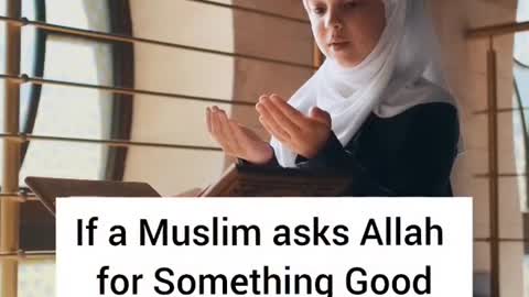 Islam Is the best religion