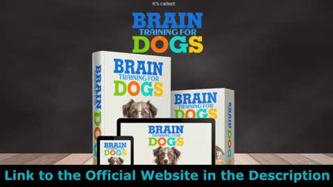 BRAIN Training for dogs