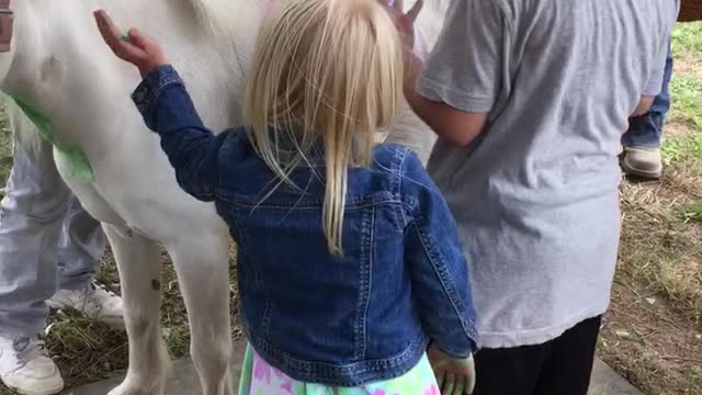 Pretty Pony