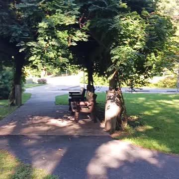 Sweet arrow park part9