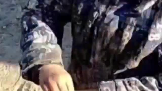 22.03.2022. Demilitarization and denazification of Ukraine!!!