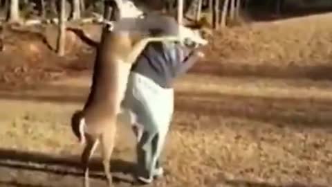 AWW SO CUTE ! Cutest baby animals Videos Compilation Cute moment of the Animals - Cutest Animals # 9