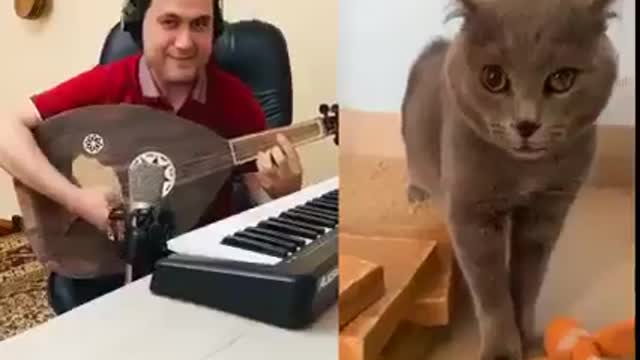 MC Cat