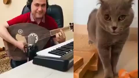 MC Cat