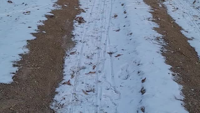 Son riding a sled in winter field