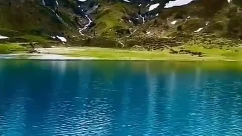 amazing and fun videos