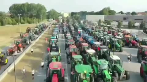 Uprising of Italian farmers in Piemonte: "We are not slaves, we are farmers!"