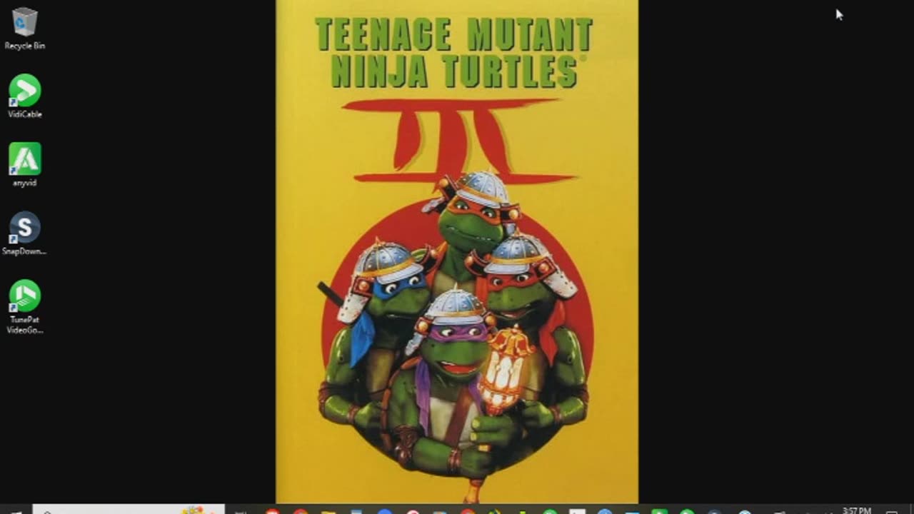 Teenage Mutant Ninja Turtles III Review