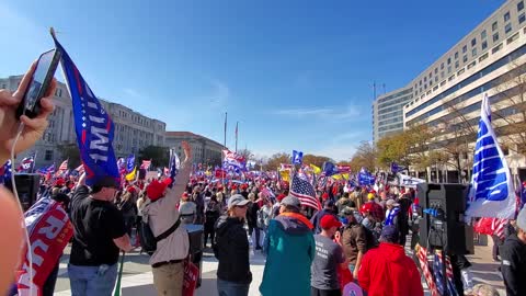 DC Stop The Steal Rally