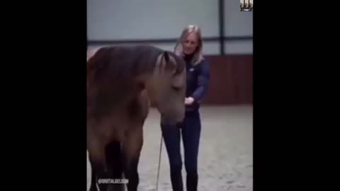 Horse Psychology - WOW