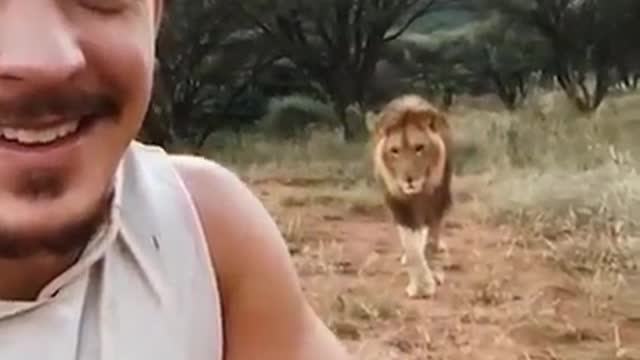 Incredible experiences with animals!