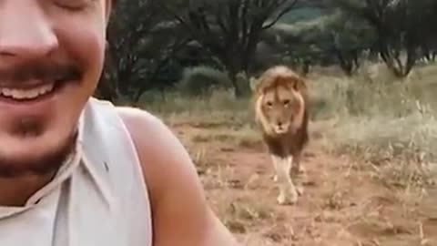 Incredible experiences with animals!