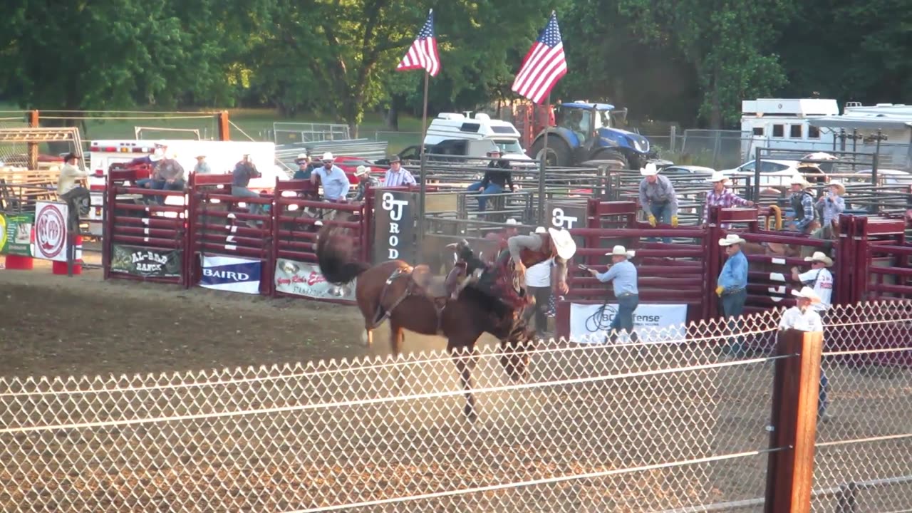 Bucking Broncos & Bulls