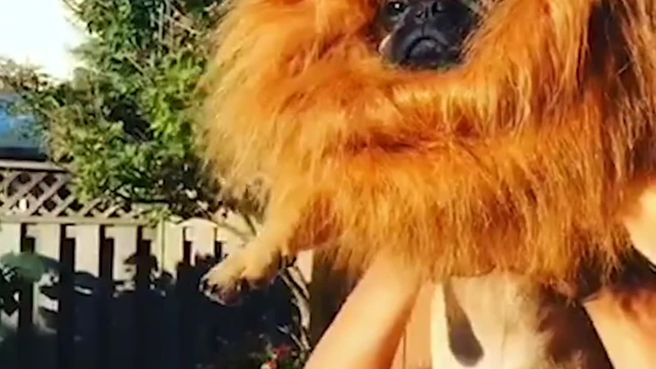 ONLY THE CUTEST