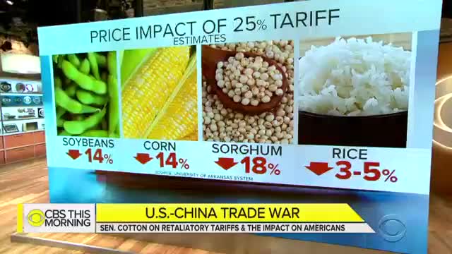 Tom Cotton addresses Trump's tariffs