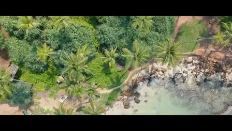 The Mirissa Beach in Sri Lanka