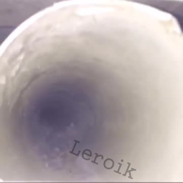 Spooky 'Bird' Scares Friends