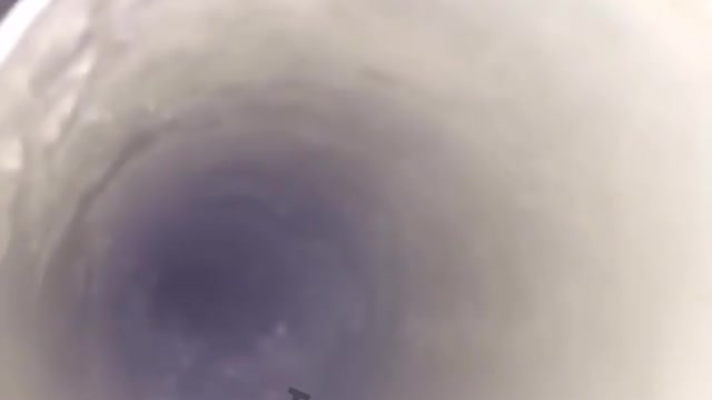 Spooky 'Bird' Scares Friends