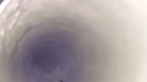 Spooky 'Bird' Scares Friends