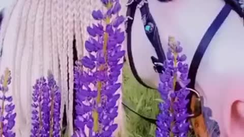 Horse Perfect