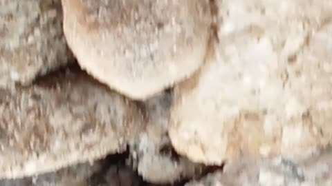 Natural background