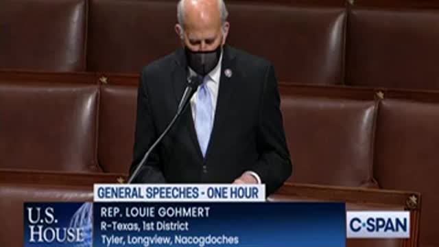 Rep. Louie Gohmert Cites Gateway Pundit Report - Goes Off on Racist CNN