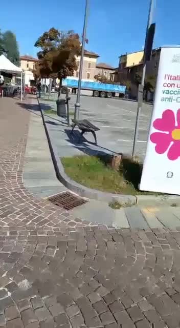 "Avete ammazzato una bambina qui a Castelfranco. Vergogna!"