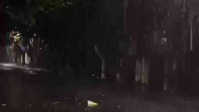 Rain path tree
