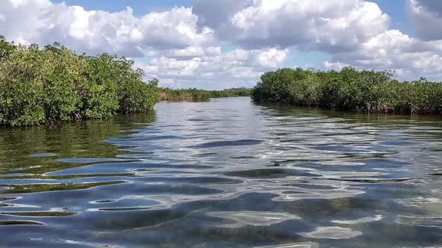 Fishin' for Reds...