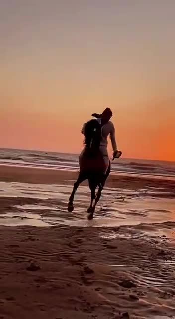 TỰ DO LÚC HOÀNG HÔN 🇺🇸 Freedom at Sunset