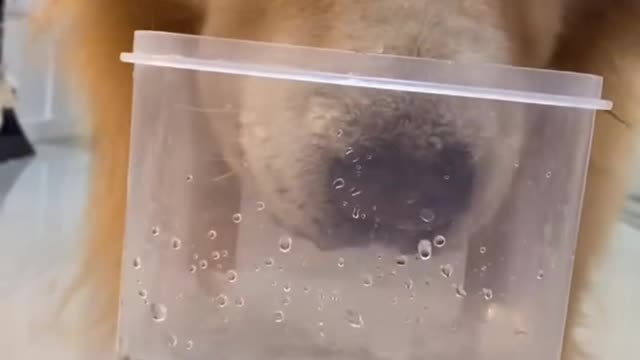 You think I can't do anything if you put it in the water?