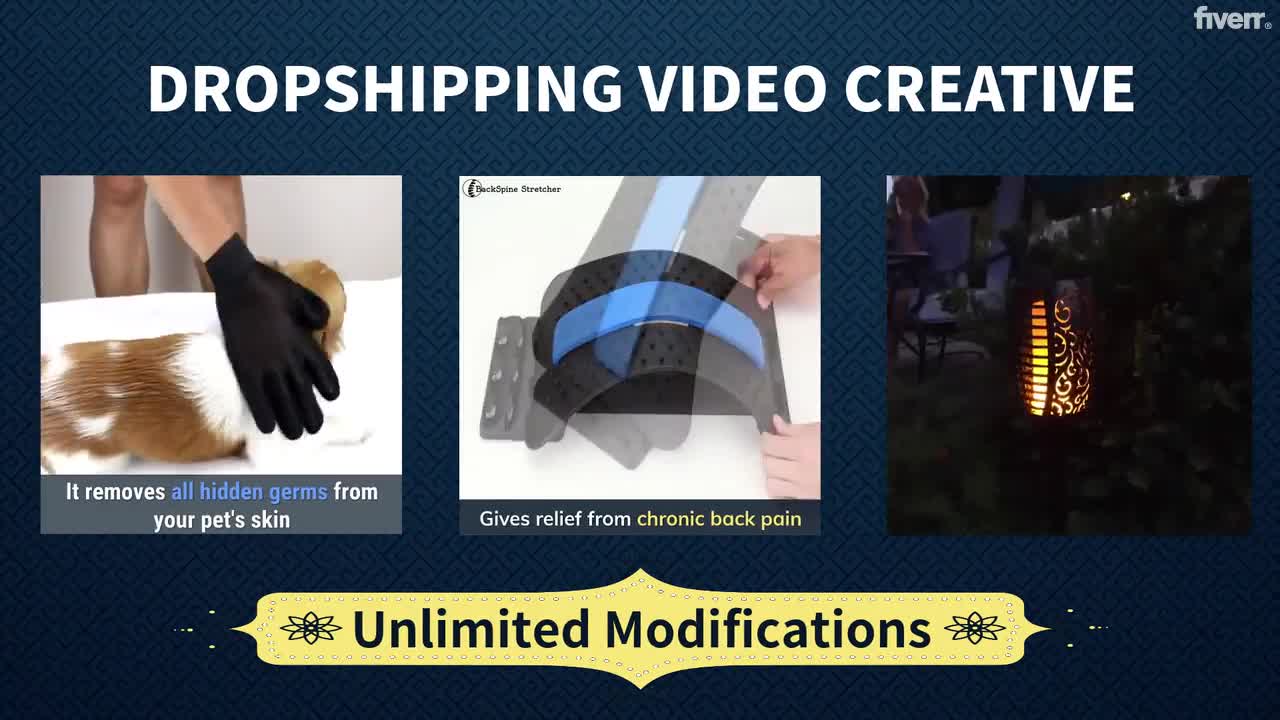 I will create video ads for your dropshipping product