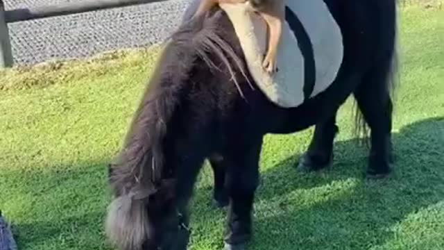 BEST FRIENDS DOG AND HORSE