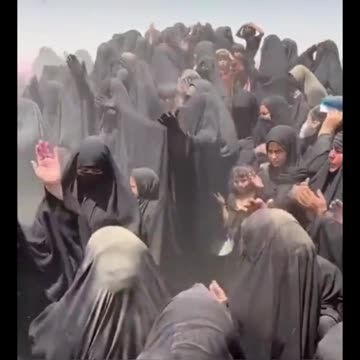 JUMP DOWN TURN AROUND PICK A BALE OF COTTON