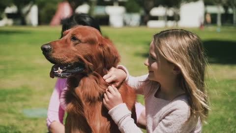 cute dog with a cute little girl