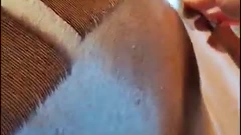 Satisfying quarter markings on horseS