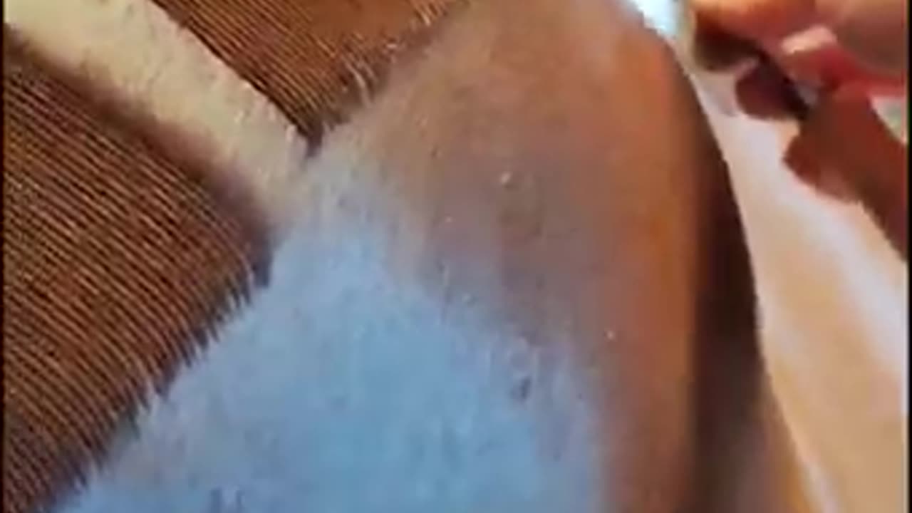 Satisfying quarter markings on horseS