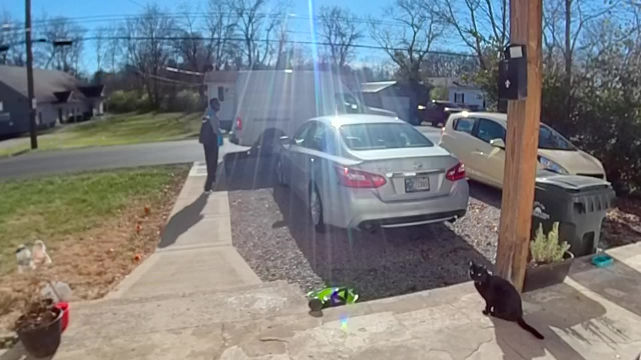 Cat Greets Amazon Delivery Driver