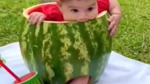 Baby in a Watermelon